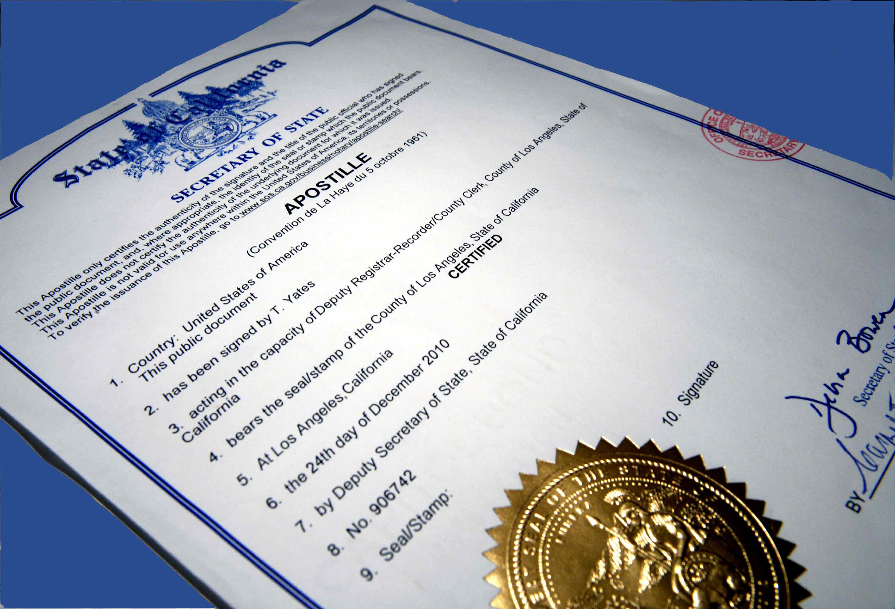 International Business Service